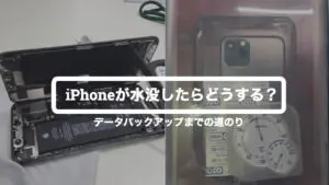 iphone-sink-repair-top-300x169